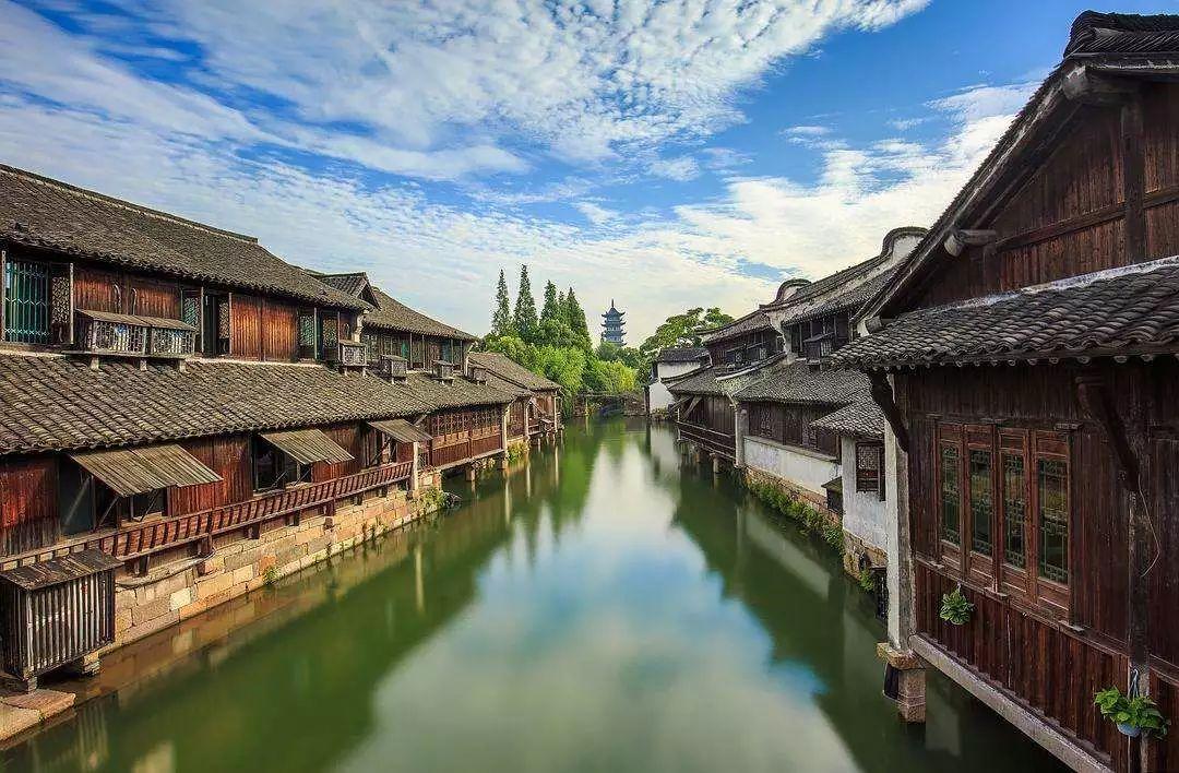 新年送礼必备「夏进爵品」纯牛奶,500箱免费尝鲜!